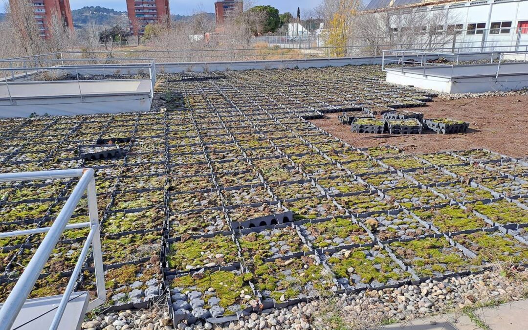 Disseny terrassa jardí sostenible